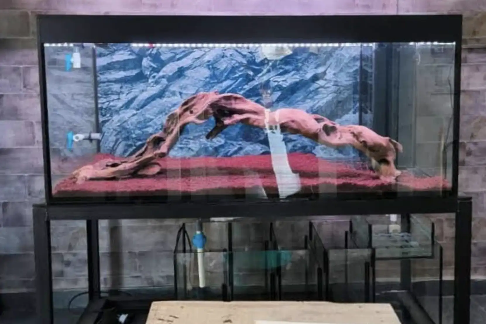 Aquarium Custom By Wafid, Siar.info